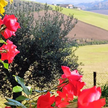 Villa Belcolle - Country Home With Pool In Fermo, Marche Villa Fermo
